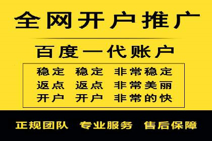 行业领先的SEM投放效果案例解析